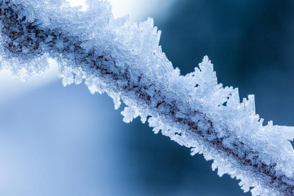 What Is Rime Ice and How Is It Formed? - Types of rime ice