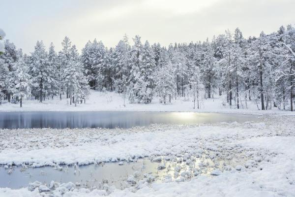 Types of Snow - Names and Formation - Types of snow