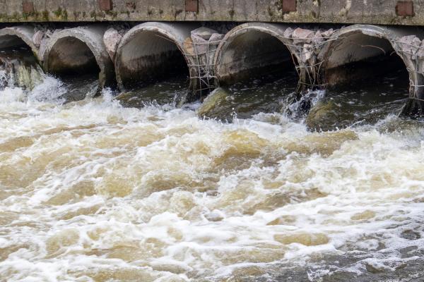 What Are the Types of Water? - Types of specialty and industrial water