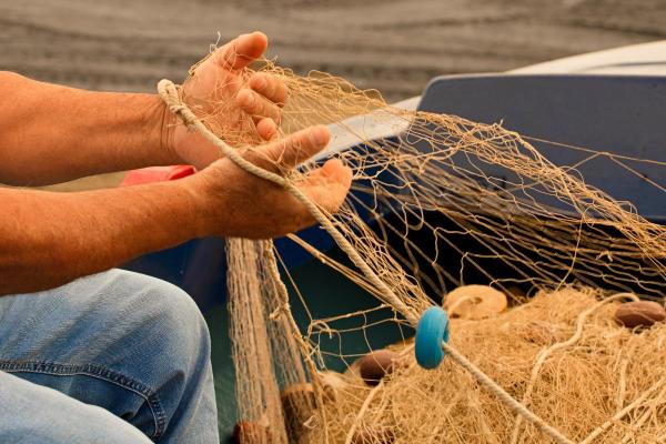 Why Is Sustainable Fishing Important? - Types of sustainable fishing