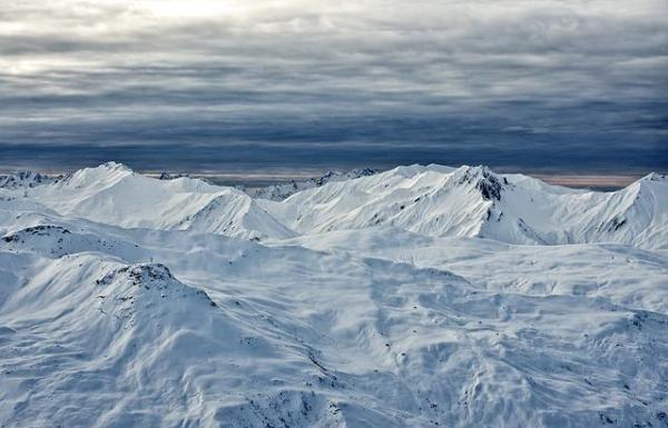 What Is a Tundra Ecosystem? - Types of tundra ecosystems