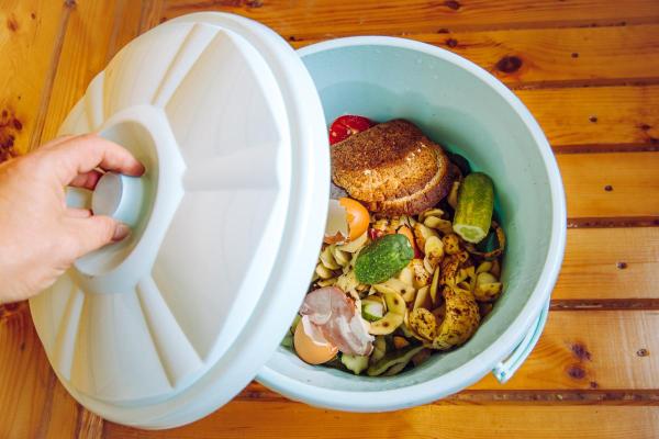 Different Types of Waste - Types of waste according to their composition