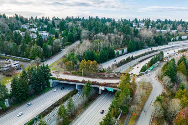 What Are Wildlife Corridors? - Types of wildlife corridors