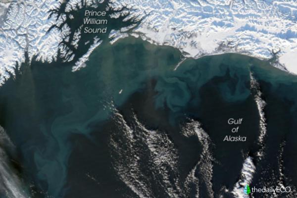 Do the Atlantic and Pacific Oceans Mix with Each Other? - Understanding the meeting of the Atlantic and Pacific Oceans