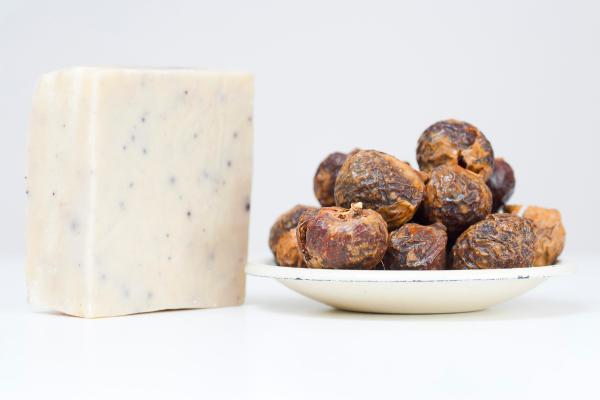 Effective Natural Ways to Get Rid of Slugs and Snails - Use soap nuts as a natural snail and slug repellent