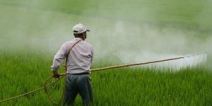 What Are Agrochemicals in Agriculture?
