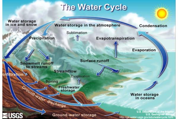 What Are Biogeochemical Cycles? - What are biogeochemical cycles?