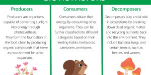 What Are Biotic Factors?