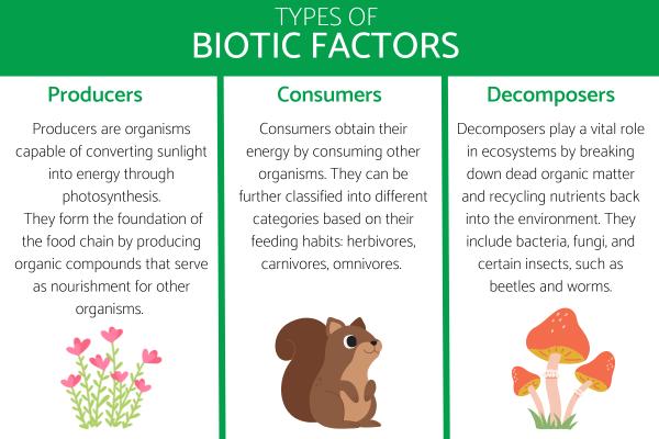 What Are Biotic Factors? -