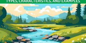 What Are Bodies of Water?