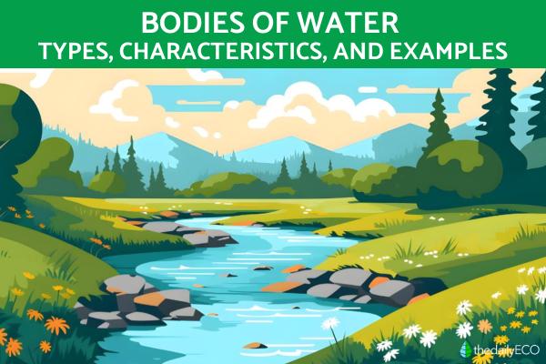 What Are Bodies of Water?