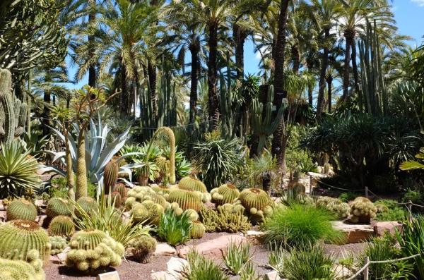 What Is a Botanical Garden? - What are botanical gardens?
