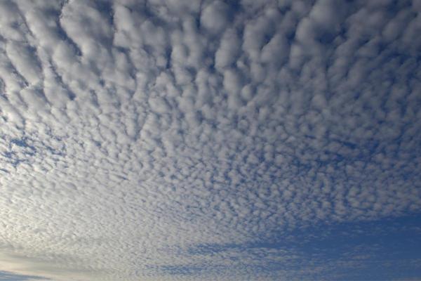 What Are Cirrocumulus Clouds?