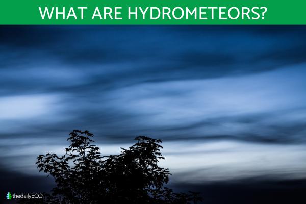 What Are Hydrometeors? - Definition and Types