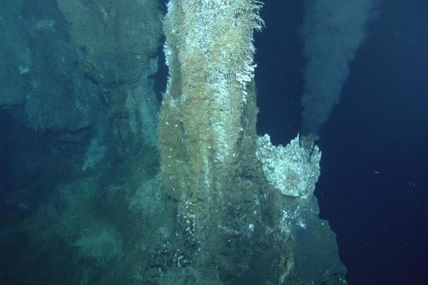 What Are Hydrothermal Vents? - What are hydrothermal vents?