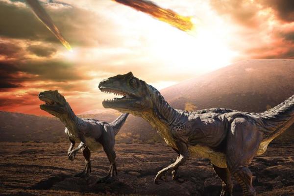What Causes Mass Extinctions? - What are mass extinctions?