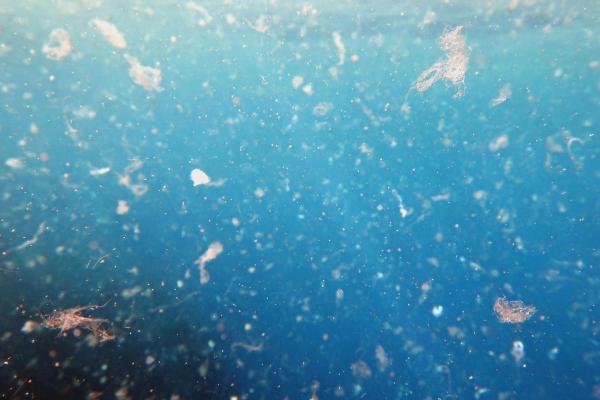 How to Avoid Microplastics in Water - What are microplastics in water?