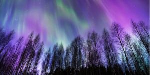 What Are Northern Lights?