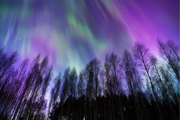 What Are Northern Lights?