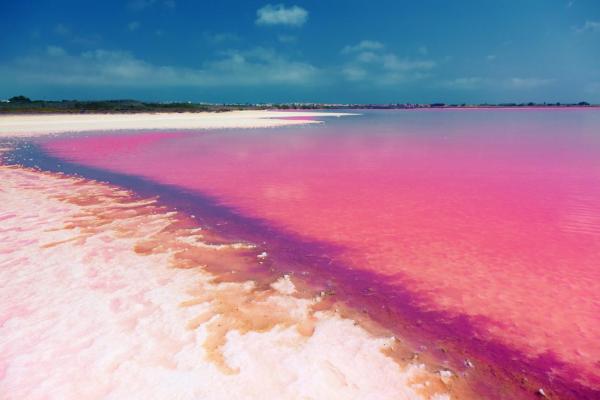 What Are Pink Lakes? - Definition, Location and Ecological Importance