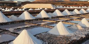 What Are Salt Flats and How Are They Formed?
