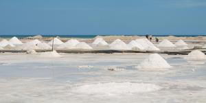 What Are Salt Pans?
