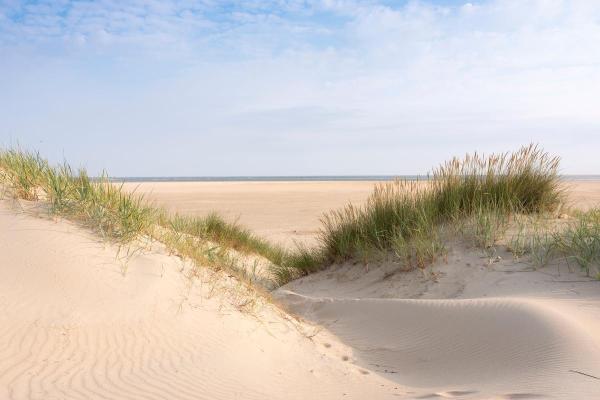 What Are Sand Dunes and How Are They Formed? - What are sand dunes?