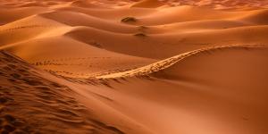 What Are Sand Dunes and How Are They Formed?