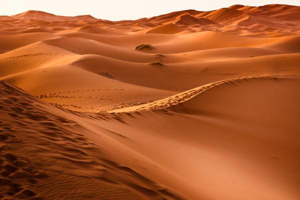 What Are Sand Dunes and How Are They Formed?