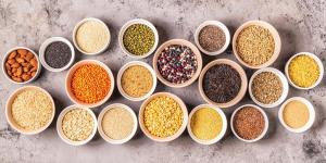 What Are Seeds? - Definition and Seed Types