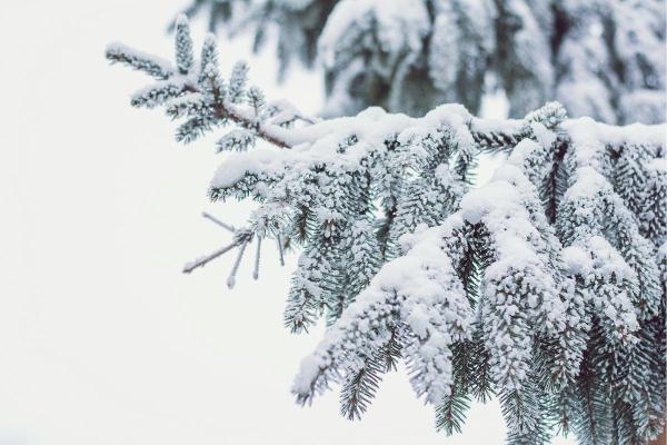What Are Snow Pellets and How Are They Formed?