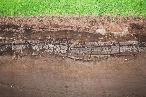Horizon Layers of Soil - Soil Horizon Explanation - What are soil horizons and their structure?