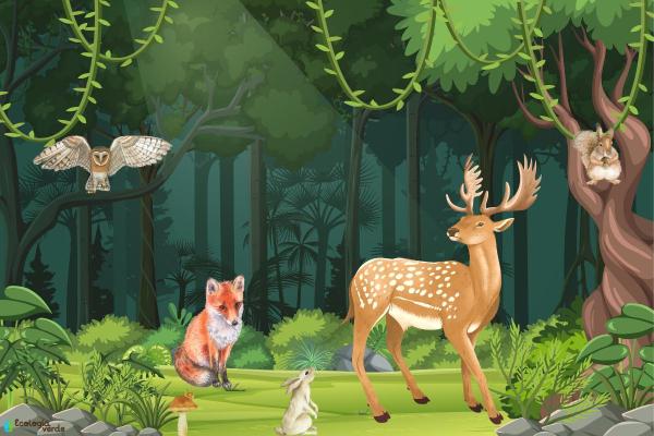 What Is a Terrestrial Ecosystem? - What are terrestrial ecosystems?