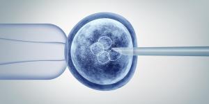 What Are the 3 Stem Cell Types?
