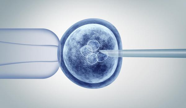What Are the 3 Stem Cell Types?