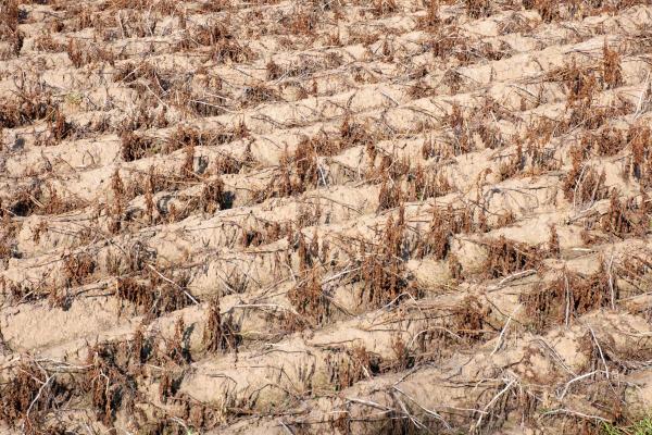 What Is Water Stress? - What are the consequences of water stress?