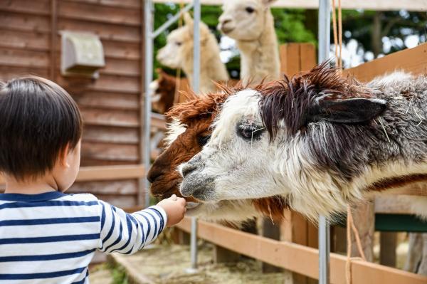 What Do Zookeepers Do? - What are the duties of a zookeeper?