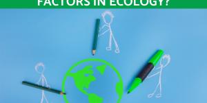 What Are the Environmental Factors in Ecology?