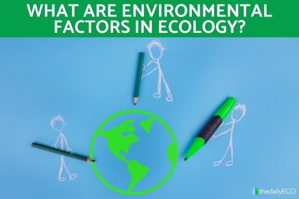 What Are the Environmental Factors in Ecology?
