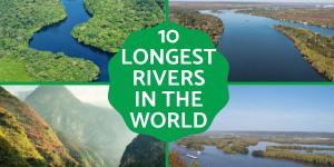 What Are the Longest Rivers in the World?