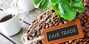 What Are the Principles of Fair Trade?