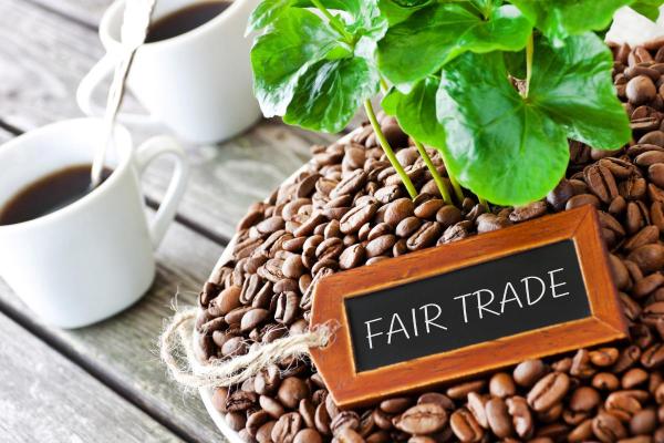 What Are the Principles of Fair Trade?