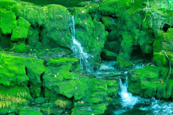 What Are Water Springs? - What are the problems with spring water?
