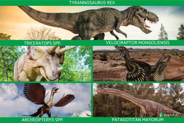 How Many Kinds of Dinosaurs Were There? - What are the types of dinosaurs?
