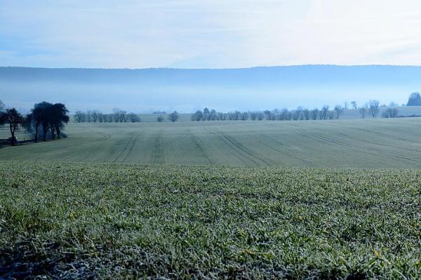 What Is Black Frost? - What are the types of frost?