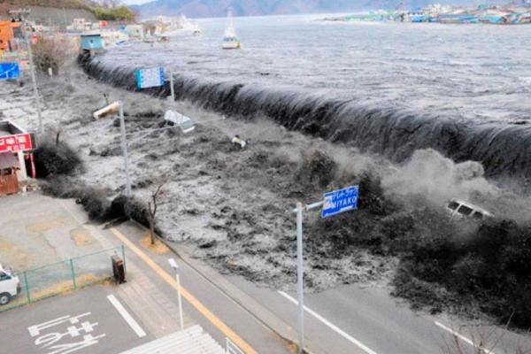 What Are Tsunamis and How Do They Form?