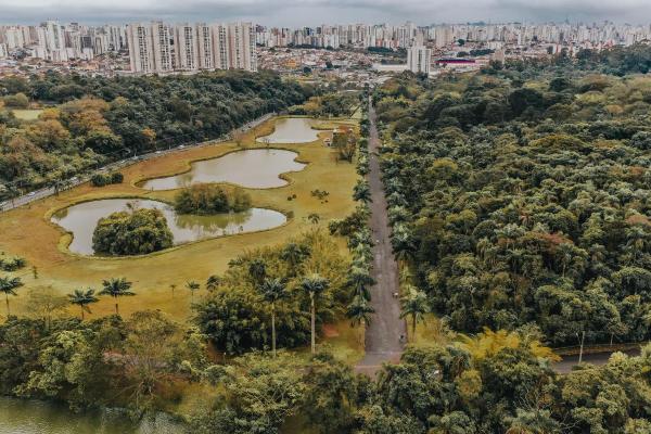 Benefits of Urban Forestry - Environmental, Social, and Economic - What are urban forests?