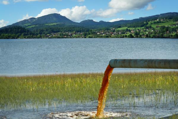 What Are Water Pollutants? - What are water pollutants?