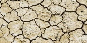 What Causes Desertification?