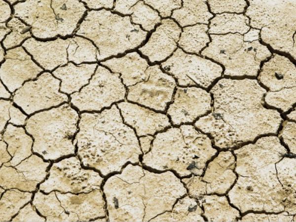 What Causes Desertification?